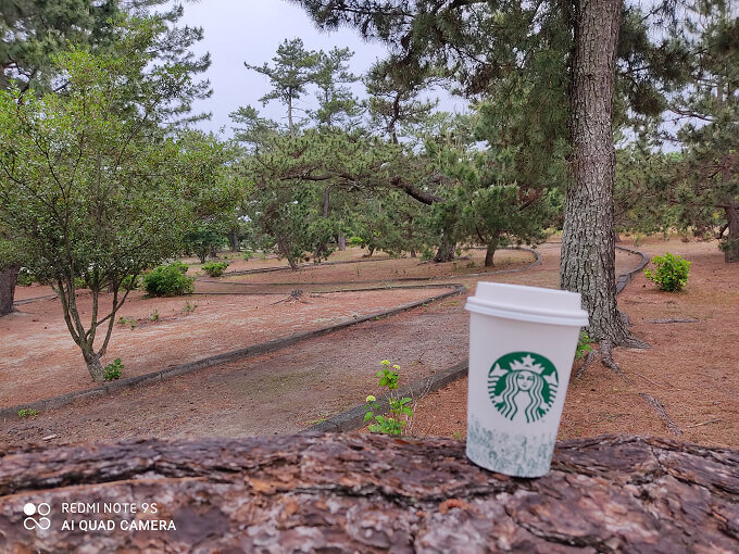 Redmi Note 5 Pro Portrait Mode Test: True to its Claims?